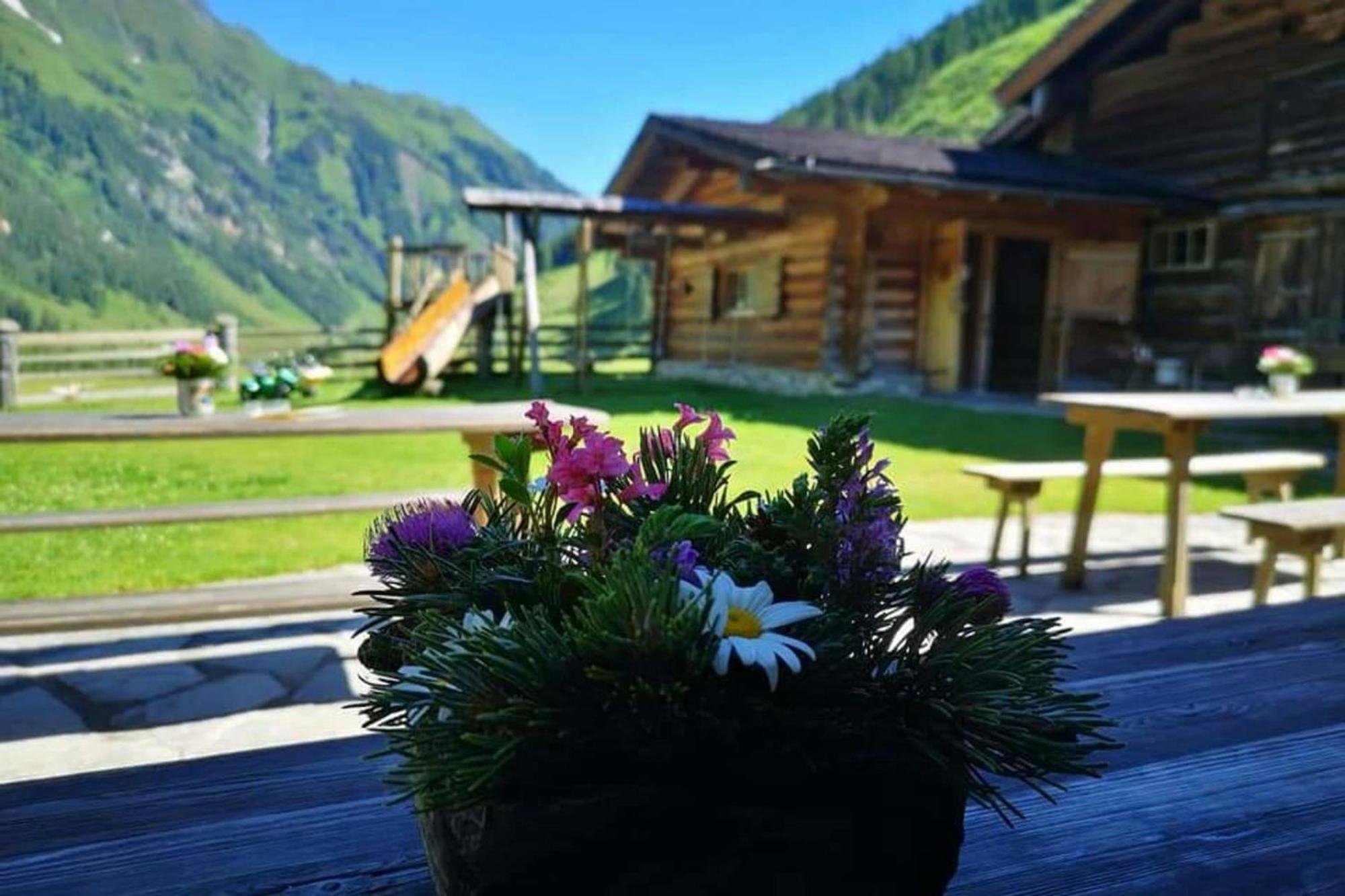 Jana 4 By Smr Rauris Apartments - Inc Spa And Near Gondola Экстерьер фото
